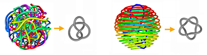 Phage knots